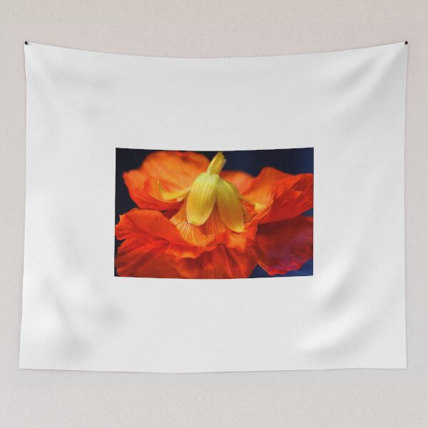 Item preview, primadonna tropaeolum majus  designed and sold by SmoothBreeze7 | Liz Collet Photography.