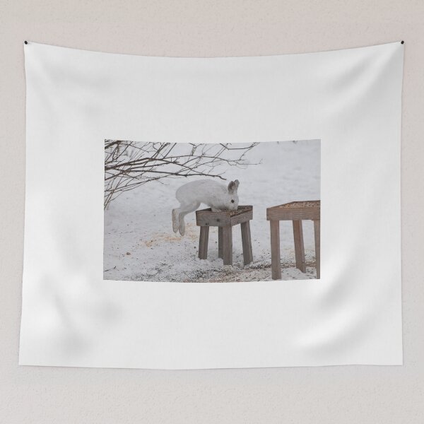 Item preview, Its a Leap Year!!  Ottawa, ON designed and sold by Tracey  Dryka.
