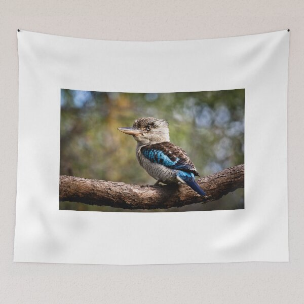 Item preview, Blue Winged Kookaburra designed and sold by John Quixley.