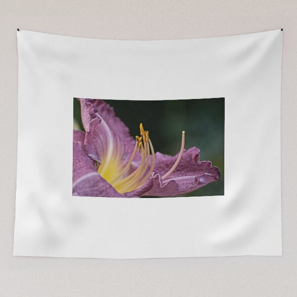 Item preview, Garden Creation - our garden designed and sold by Tracey  Dryka.