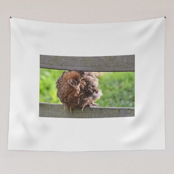 Item preview, Small Chicken designed and sold by lynn carter.