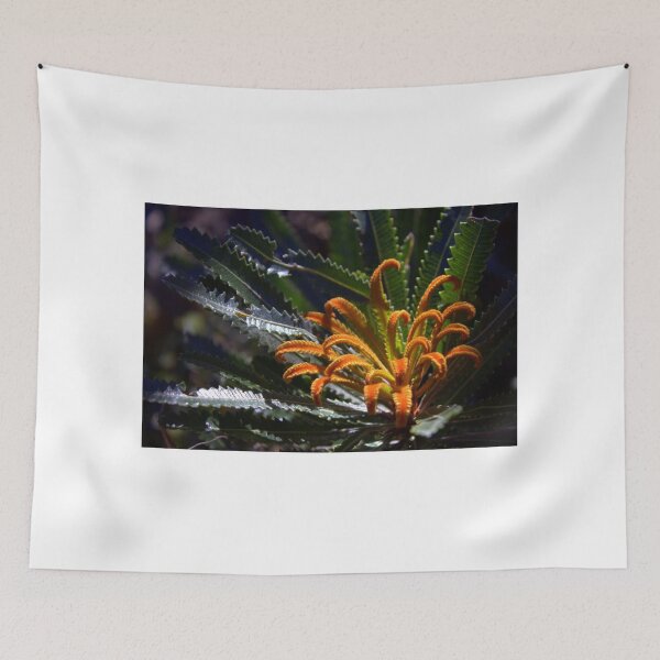 Item preview, North Head Manly - Who am I designed and sold by miroslava.