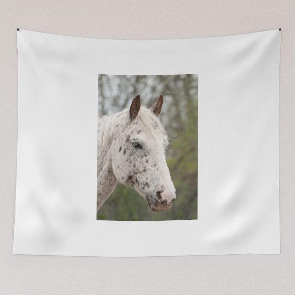 Item preview, Xerox - NNEP Ottawa, ON designed and sold by Tracey  Dryka.