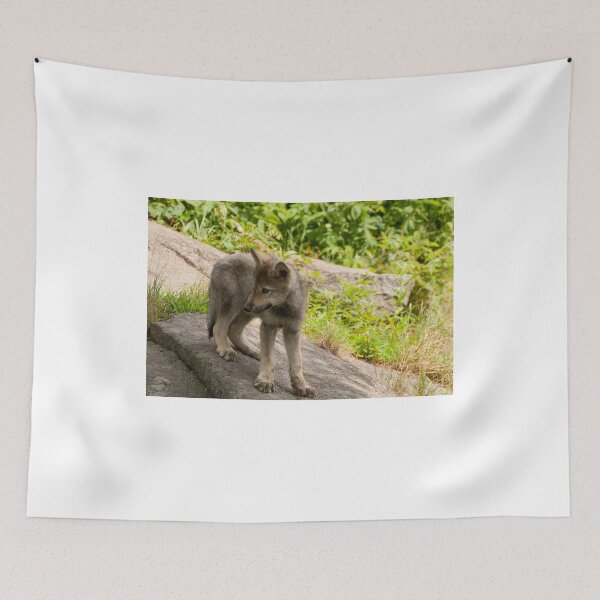 Item preview, Always Keep Watch designed and sold by Tracey  Dryka.