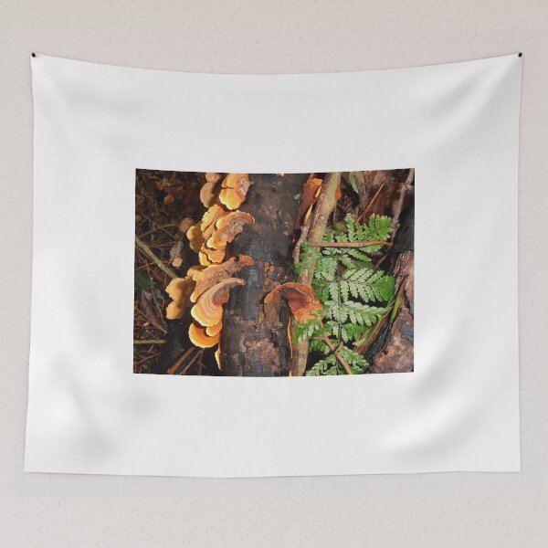 Item preview, Fungi And Fern Frond, Minnamurra Rainforest, Budderoo National Park, Australia. designed and sold by kaysharp.
