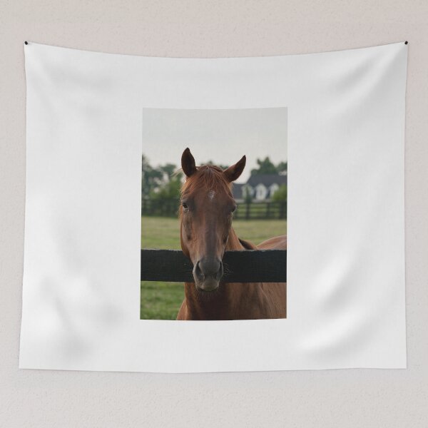 Item preview, Commentator - Old Friend's Equine designed and sold by Tracey  Dryka.