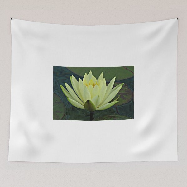 Item preview, Lemon Water Lily in Low Light designed and sold by Kathryn Jones.