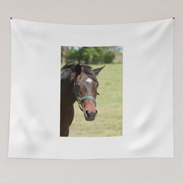 Item preview, Jack - NNEP Ottawa ON designed and sold by Tracey  Dryka.
