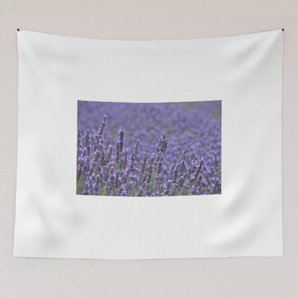 Item preview, Lavender fields designed and sold by Heather Thorsen.