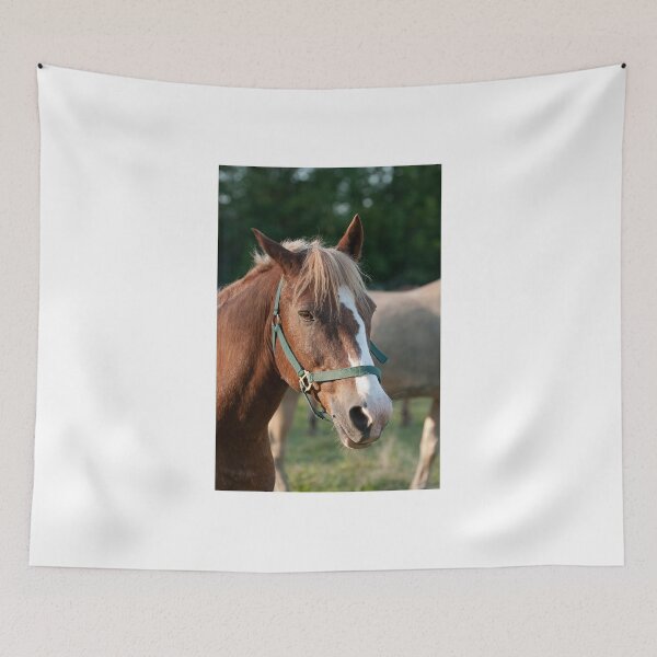 Item preview, Cameron - NNEP Ottawa, ON designed and sold by Tracey  Dryka.