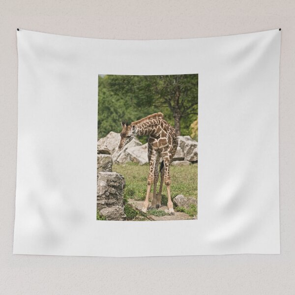 Item preview, Masai Giraffe (calf) designed and sold by Tracey  Dryka.
