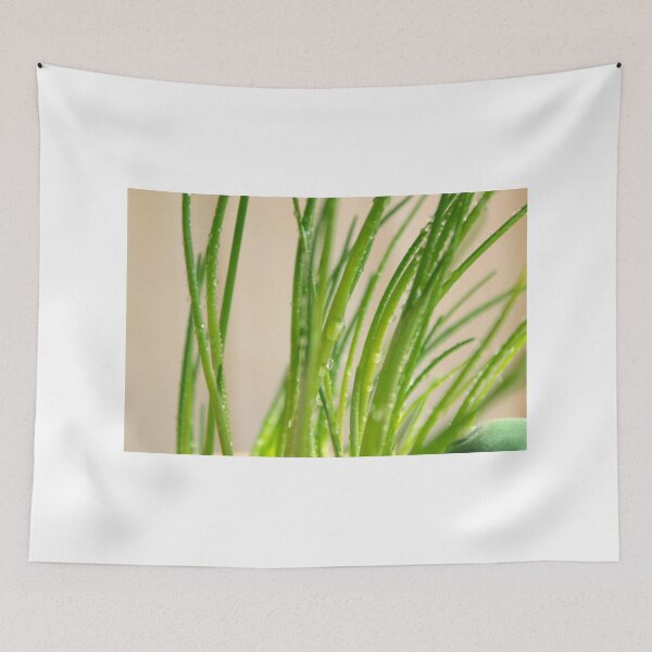 Item preview, Chives growing well designed and sold by jonybigude.
