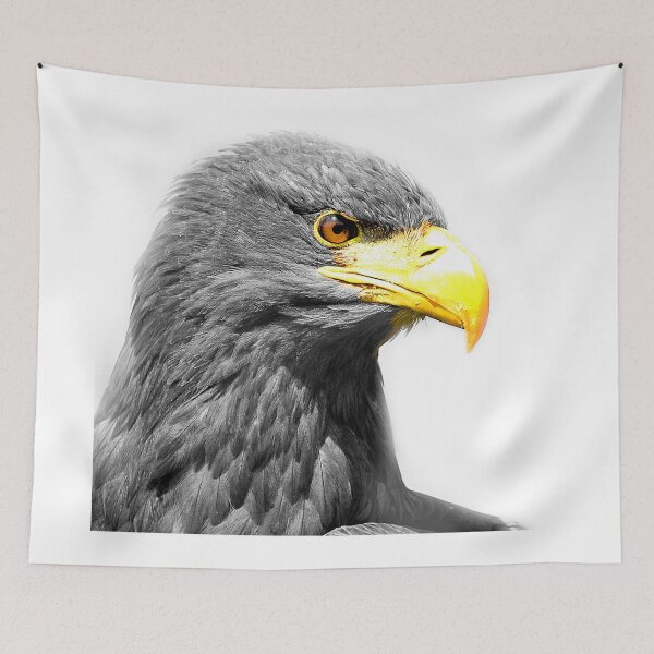 Item preview, Hawk Eye designed and sold by Anthony Hedger Photography.