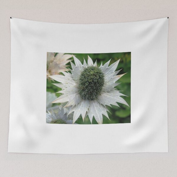 Item preview, Thistle Beauty designed and sold by Richard-Gary Butler.