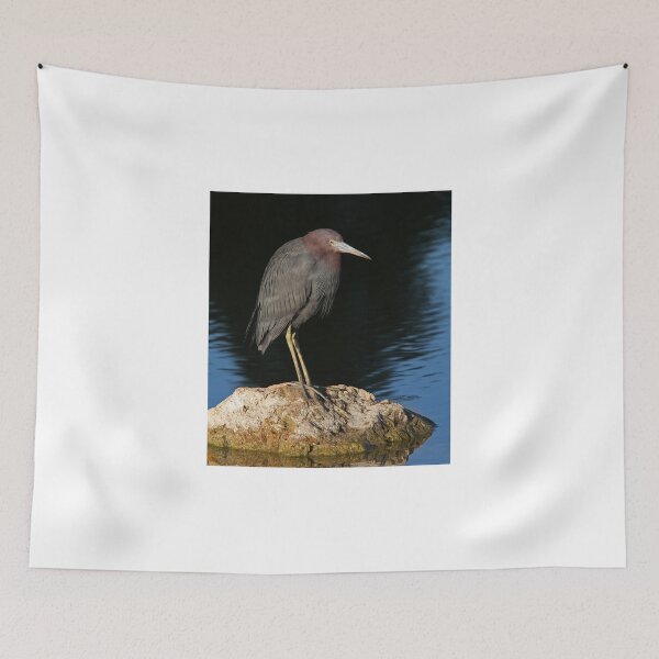Item preview, Little Blue Heron on the rocks designed and sold by James Cumming.