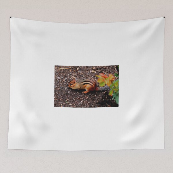 Item preview, Getting ready for Winter designed and sold by Larry Trupp.