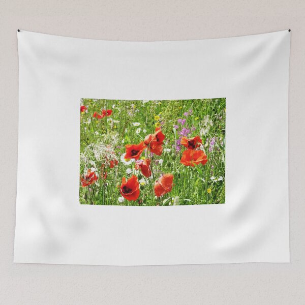 Aperçu de l'œuvre Poppy Meadow créée et vendue par Graham Geldard Photography.