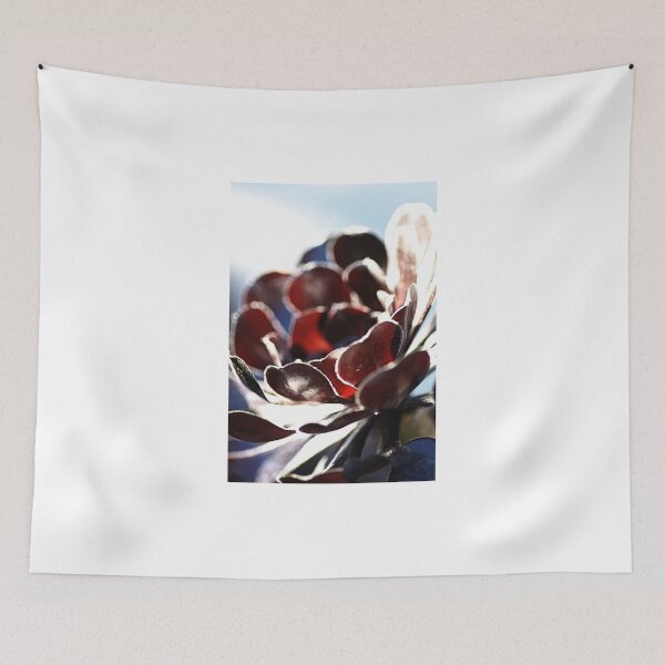 Item preview, Succulent  in the Spotlight designed and sold by Joy Watson - Natural Light Photography .