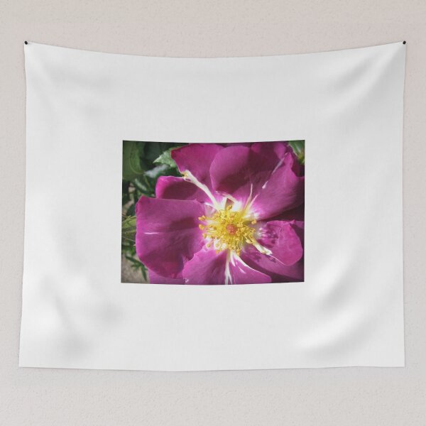 Item preview, Mysterious Magenta Beauty - Wild Rose designed and sold by BlueMoonRose.