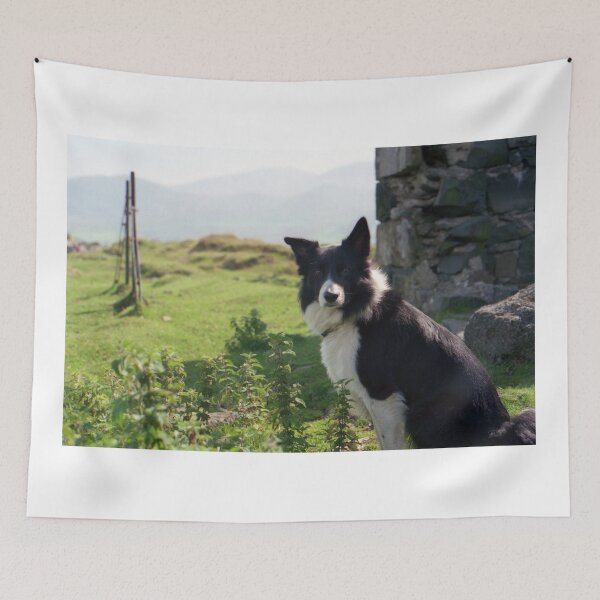 Item preview, Young Indy up high. designed and sold by Michael Haslam.