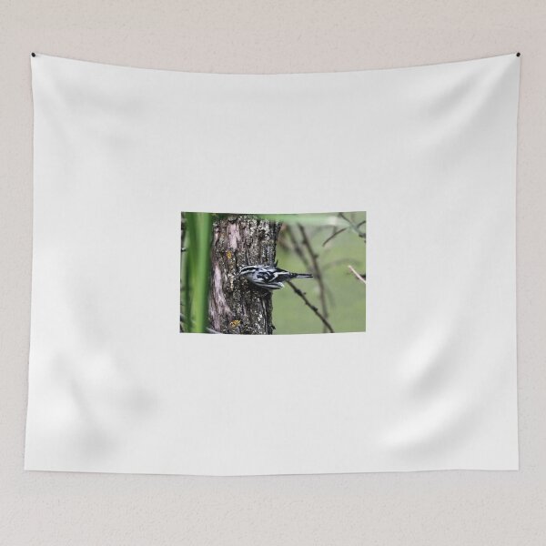 Item preview, Black and White Warbler designed and sold by Larry Trupp.