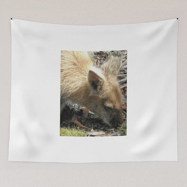 Item preview, Beautiful Blonde, Cradle Mountain, Tasmania, Australia. designed and sold by kaysharp.