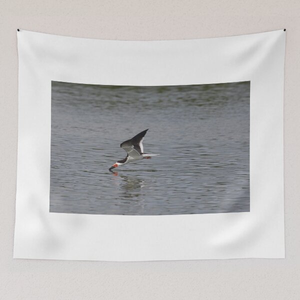 Item preview, looking for food designed and sold by kathy s gillentine.