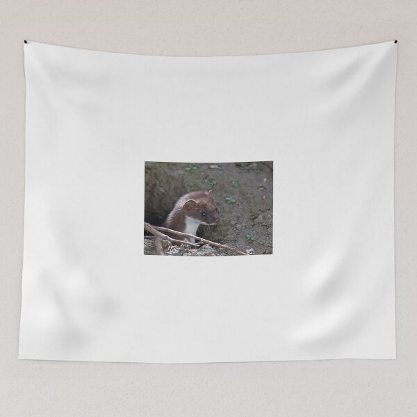 Item preview, Stoat in the Hole designed and sold by GrahamCSmith.