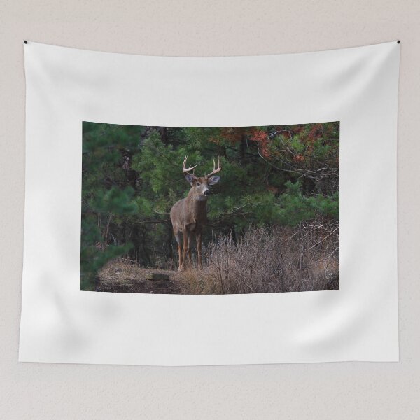 Item preview, The King is Dead...Long Live the King - White-tailed Deer designed and sold by James Cumming.
