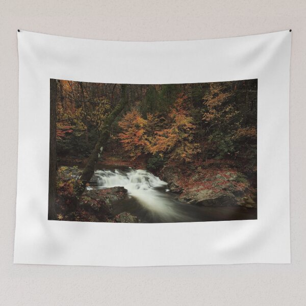 Artikelvorschau, Laurel Creek Cascades entworfen und verkauft von kathy s gillentine.