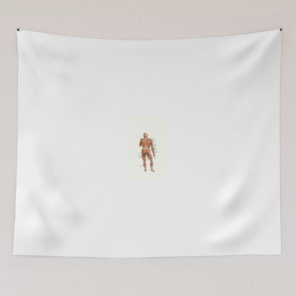 Item preview, Muscles designed and sold by Ommik.