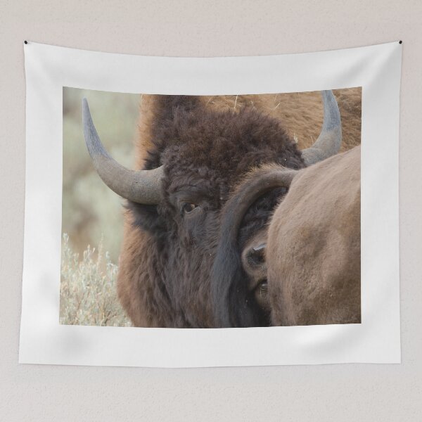 Item preview, Bison Romance designed and sold by WorldDesign.