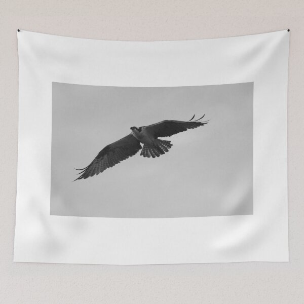 Item preview, Osprey flight designed and sold by kathy s gillentine.