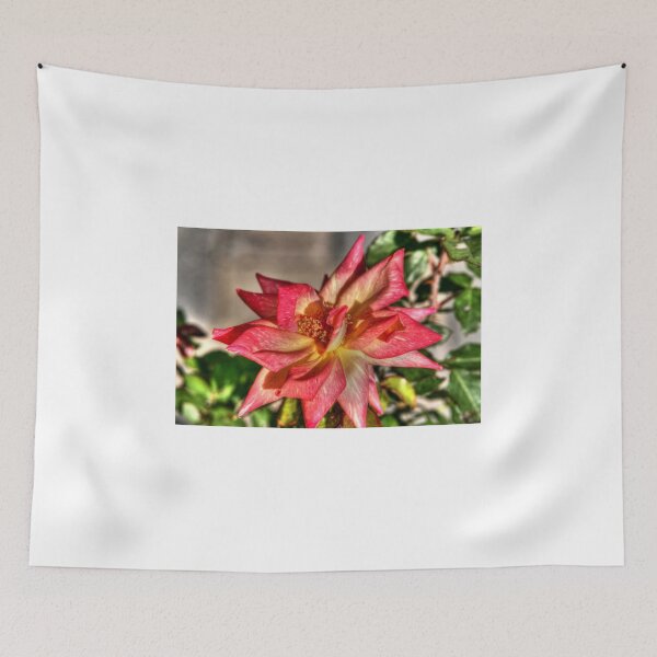 Item preview, Caribia Hybrid Tea Rose designed and sold by Larry Trupp.