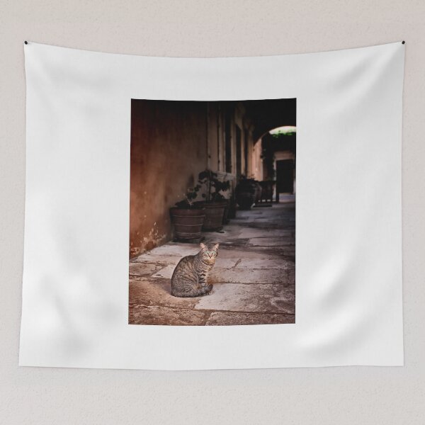 Item preview, Cat In Monastery designed and sold by Graham Prentice.
