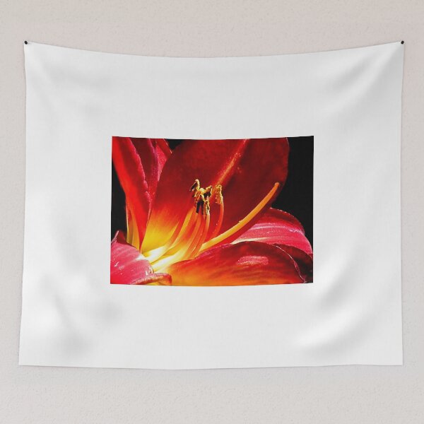 Item preview, Lily Macro designed and sold by lynn carter.