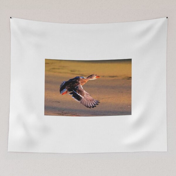 Item preview, Take off designed and sold by Larry Trupp.