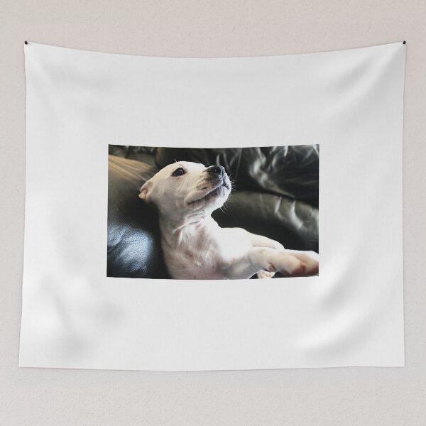 Item preview, Quiet Contemplation designed and sold by Ladymoose.