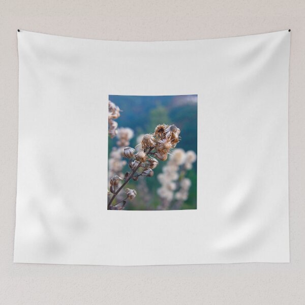 Item preview, Hieracium Lachenalii designed and sold by jonybigude.