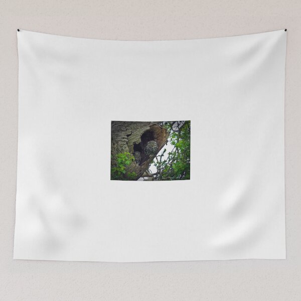 Item preview, Little Owls on the nest designed and sold by GrahamCSmith.