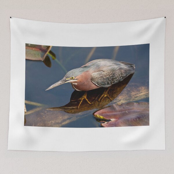 Item preview, STOCK ~ Green Heron #2 designed and sold by akaurora.