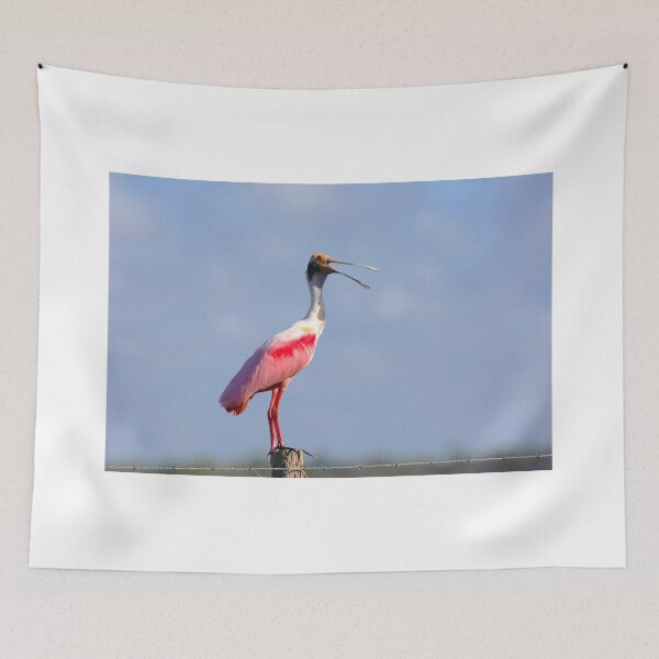 Item preview, I'm so sleepy designed and sold by kathy s gillentine.