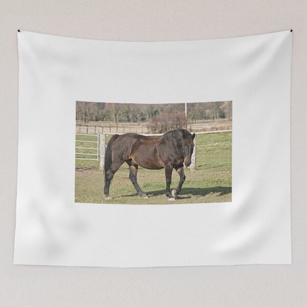 Item preview, Ringo - Silver Creek Ranch, Ottawa, Ont designed and sold by Tracey  Dryka.