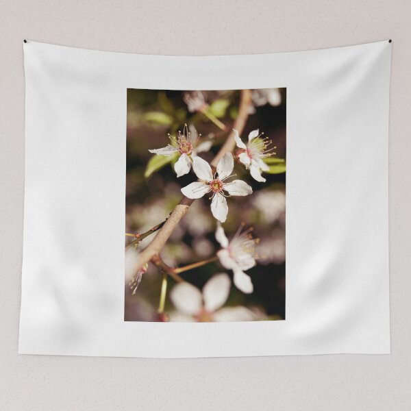 Item preview, Blossom 2 designed and sold by Natalie Broome.