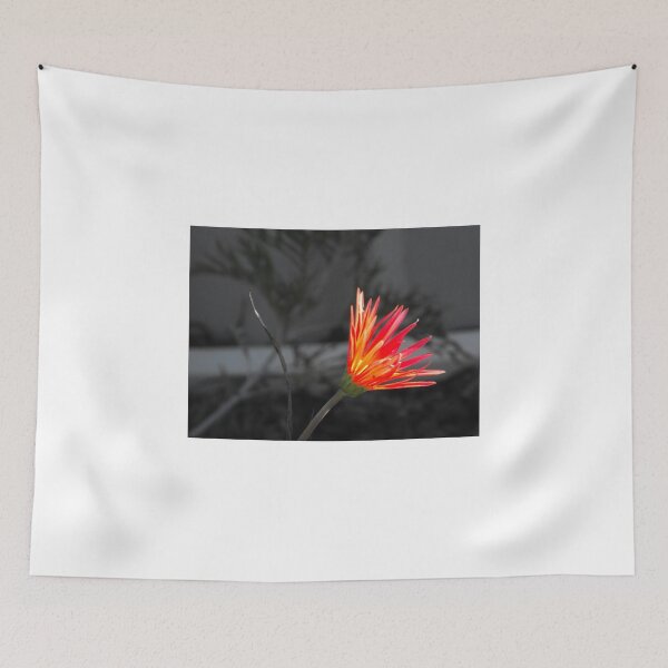 Item preview, Burning Red designed and sold by Kayleigh Walmsley.