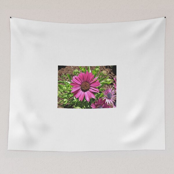Item preview, Sunkissed Cape Daisies designed and sold by Kathryn Jones.