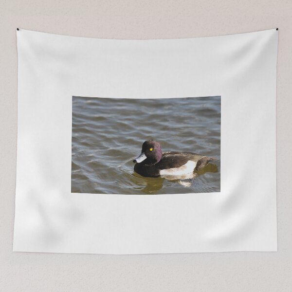 Item preview, Tufted Duck - Abbotsbury Swannery designed and sold by Chris Monks.