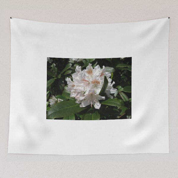 Item preview, Delicate Rhododendron Blossoms designed and sold by Kathryn Jones.