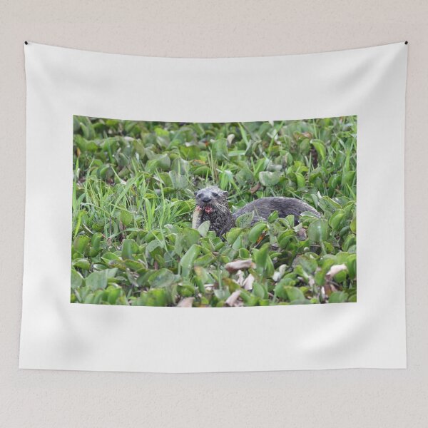 Item preview, North American River Otter designed and sold by kathy s gillentine.