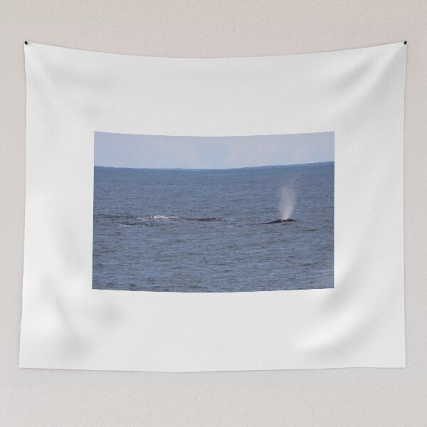 Item preview, Victor Harbor Southern Right Whales designed and sold by Stuart Daddow Photography.